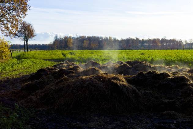 Dampfener Pferdemisthaufen *** steamer horse dung heap Copyright: imageBROKER/alimdix/xGünterxFranz iblvhf09148603.jpg Bitte beachten Sie die gesetzlichen Bestimmungen des deutschen Urheberrechtes hinsichtlich der Namensnennung des Fotografen im direkten Umfeld der Veröffentlichung